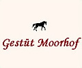 Ponyreitschule Gestüt Moorhof